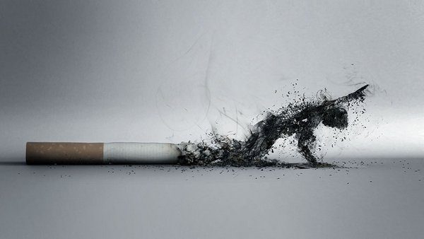 Учёные выяснили природу никотиновой зависимости