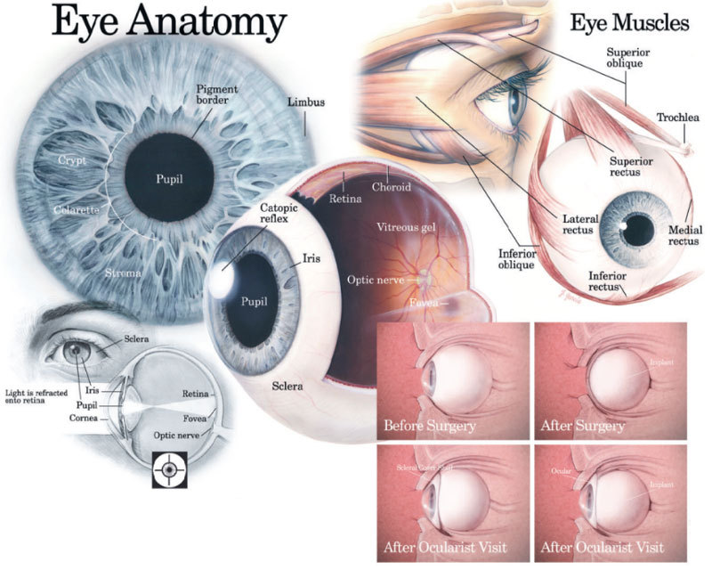 Как значительно улучшить зрение, оздоровить и укрепить глаза