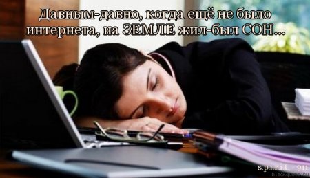Цитаты, милые цитаты...