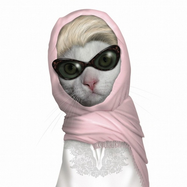 Животные  - двойники  знаменитостей