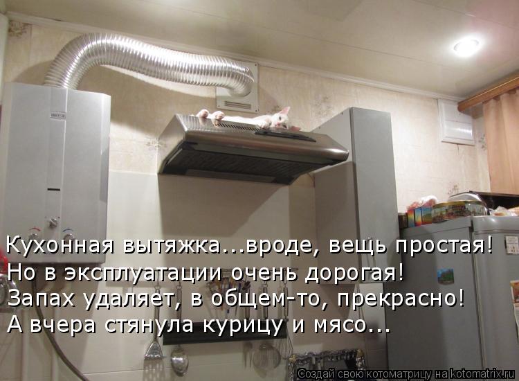  -  ..,  !     