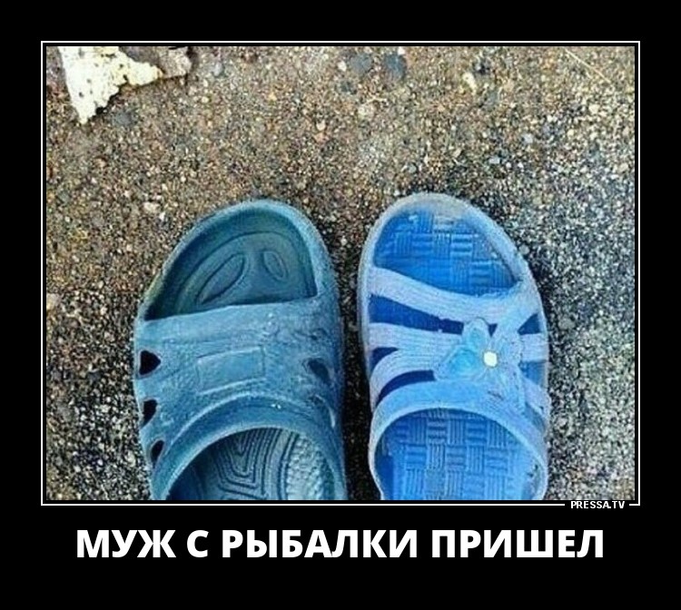 ДЕМОТИВАТОРЫ+ ДЕМОТИВАТОРЫ+