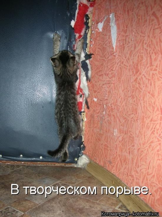 Смешные котоматрицы)) Смешные котоматрицы))