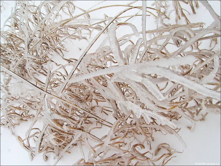 Редкое явление природы - после ледяного дождя