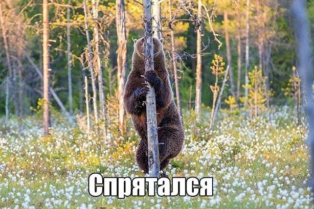 Новые смешные картинки!