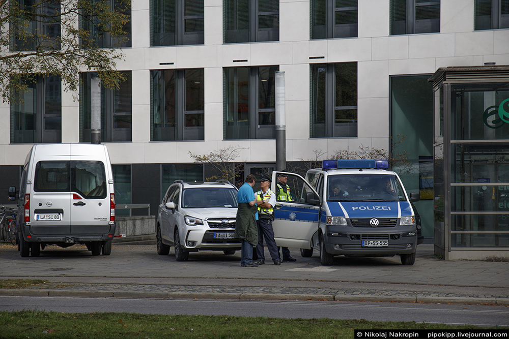 В Германии пони забеременела от беженца В Германии пони забеременела от беженца