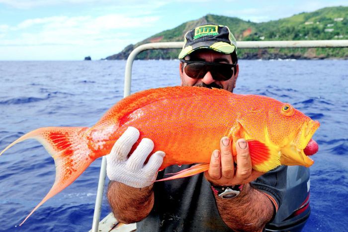 остров, океан, люди