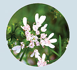 RabochiyMoment-5.jpg RabochiyMoment-5.jpg
