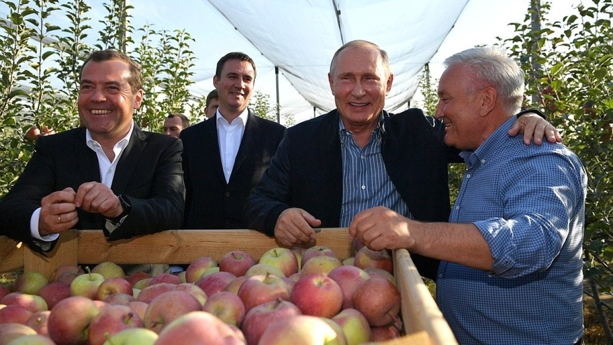 Путину на день рождения подарили саженцы яблонь «без мельдония»