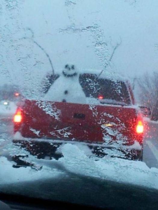 Коллекция эмоциональных снимков