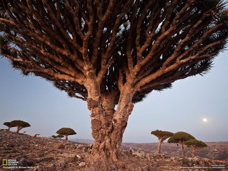 Подборка замечательных фотографий от National Geographic