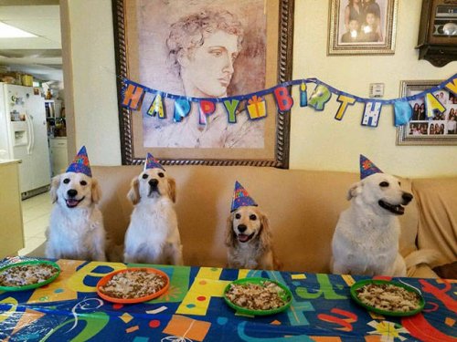 Потрясающие фотографии, которые мы не могли вам не показать (29 шт) Потрясающие фотографии, которые мы не могли вам не показать (29 шт)