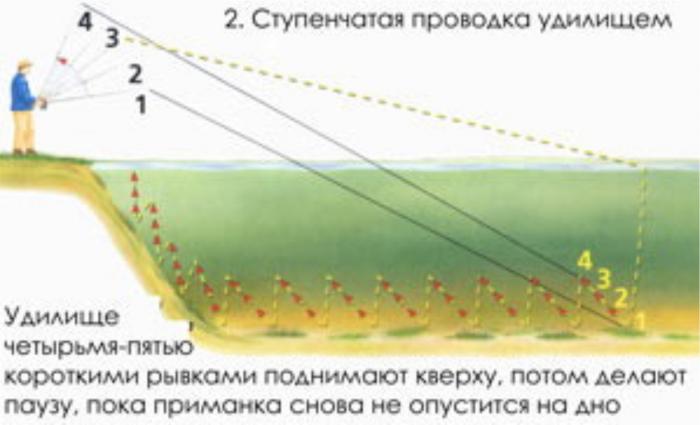 типы проводки при ловли щуки типы проводки при ловли щуки