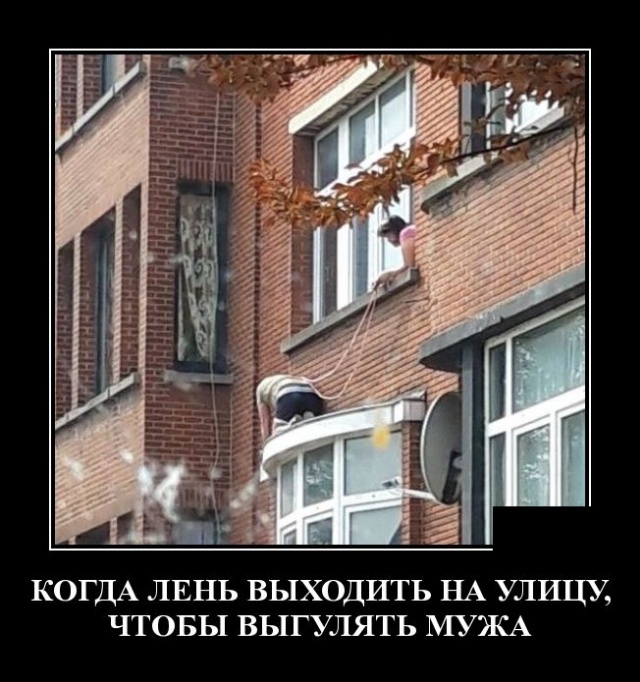 Демотиваторы Демотиваторы
