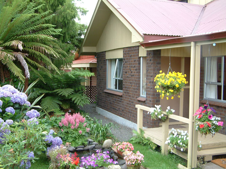 home front garden    .