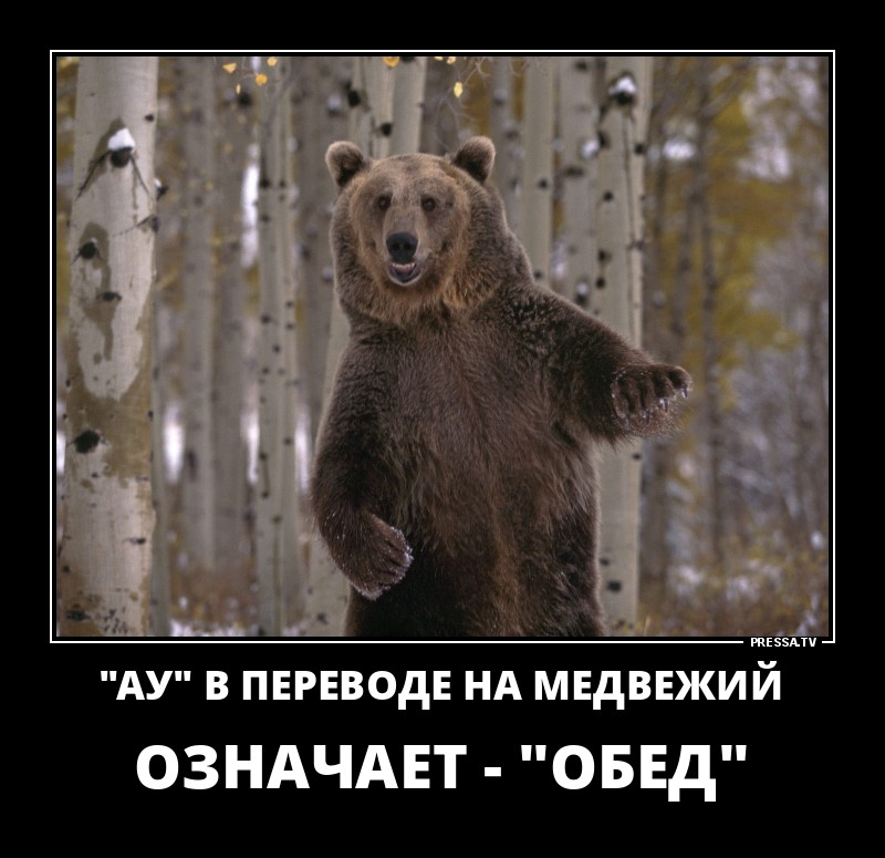 Смешные летние демотиваторы о жизни Смешные летние демотиваторы о жизни