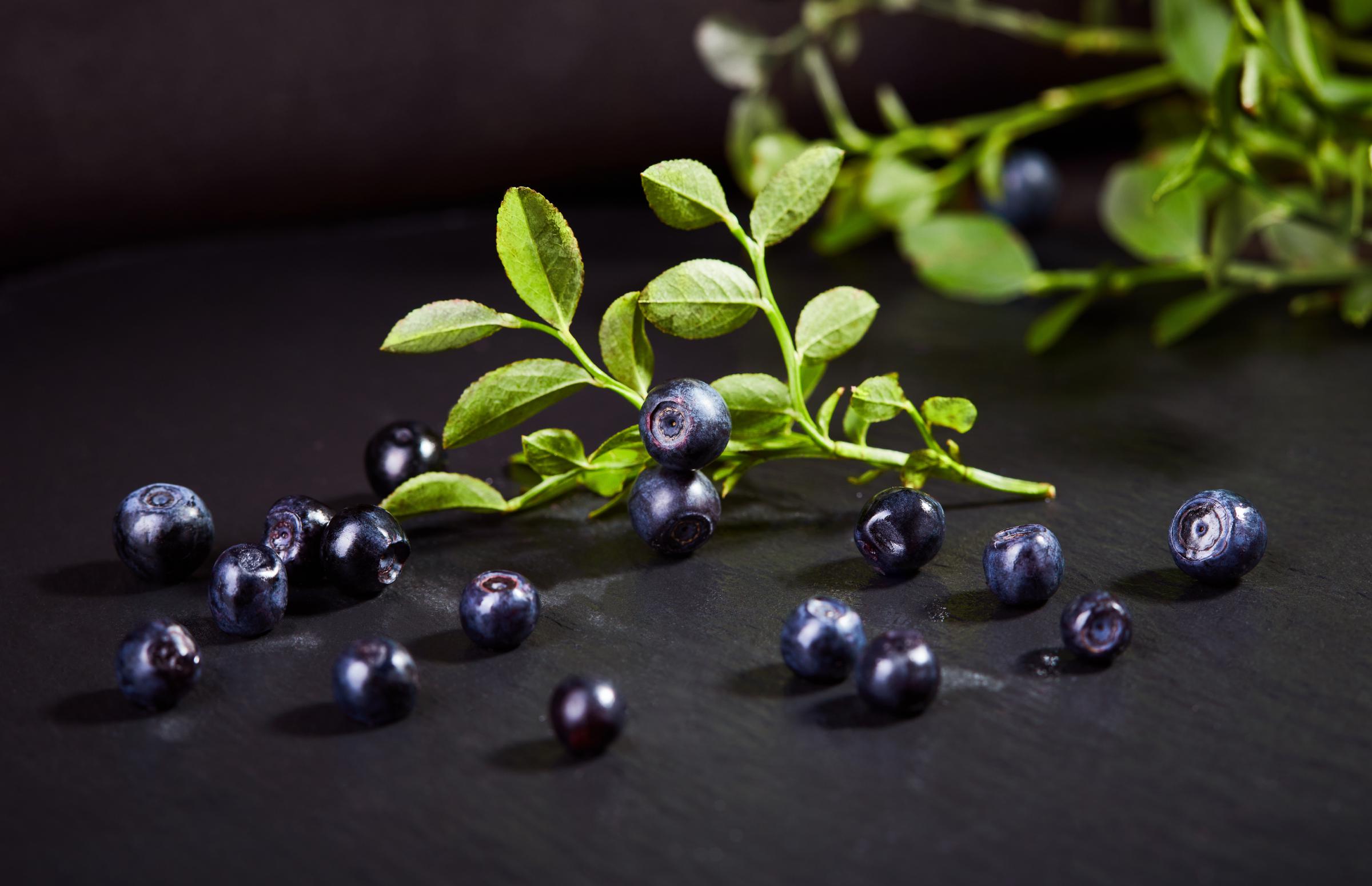 NutriRes: черника замедляет снижение умственных функций после 60 лет