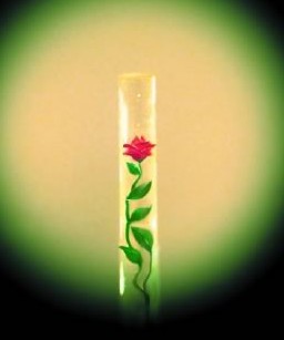 САМЫЕ НЕОБЫЧНЫЕ МУЗЕИ УКРАИНЫ САМЫЕ НЕОБЫЧНЫЕ МУЗЕИ УКРАИНЫ