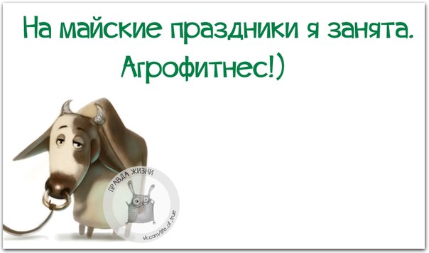 Позитивные фразочки в картинках