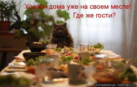 котомашечки от Лисицы))