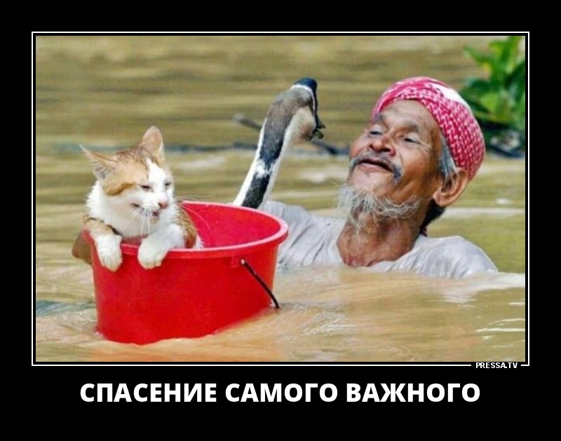 Смешные летние демотиваторы о жизни Смешные летние демотиваторы о жизни