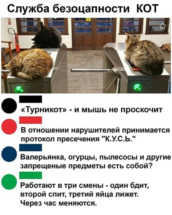 Новые смешные картинки!