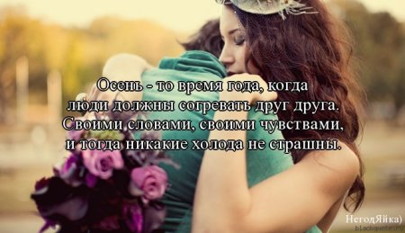Цитаты, милые цитаты...
