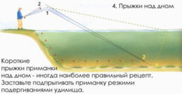 как ловить на яме судака как ловить на яме судака