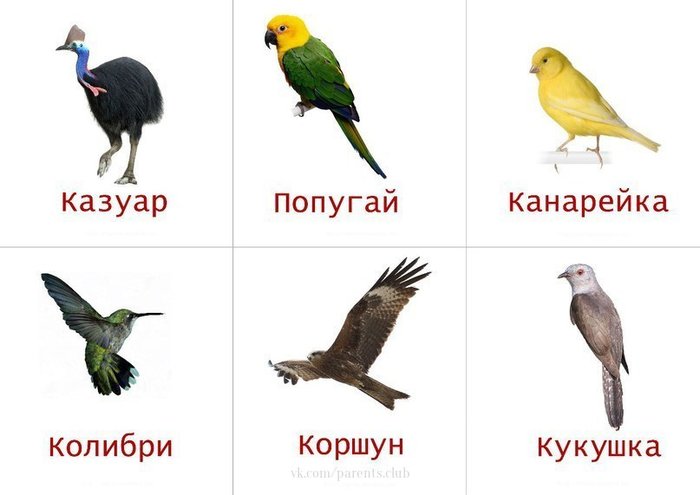 8 (700x495, 151Kb)