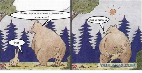 Картинки по запросу подтереть жопу