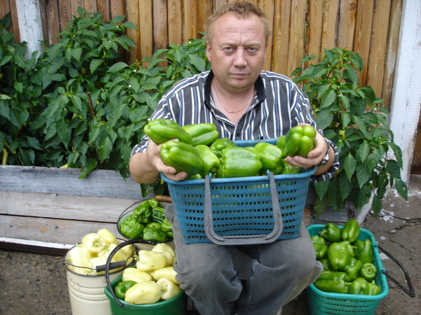 Чудо-огород Игоря Лядова