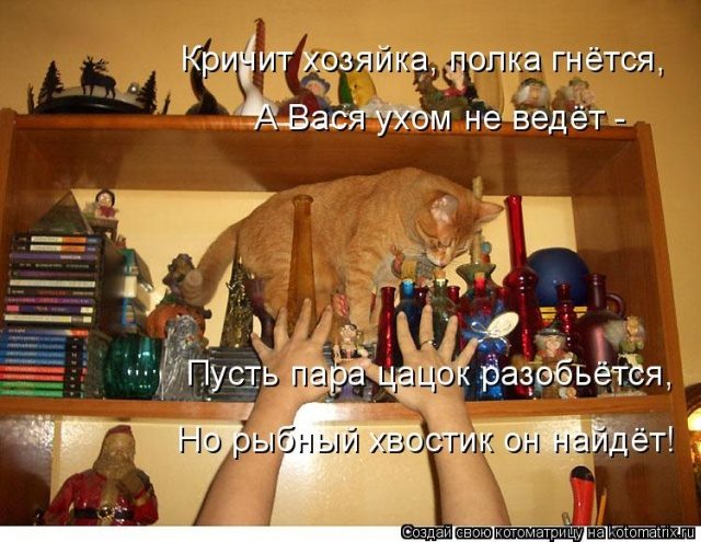 Самые смешные котоматрицы для хорошего настроения) Самые смешные котоматрицы для хорошего настроения)