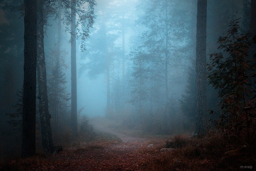ФОТОВЫСТАВКА. Пейзажи Mehmet Eralp ФОТОВЫСТАВКА. Пейзажи Mehmet Eralp