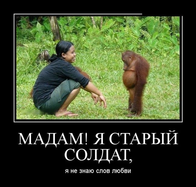 Смех в картинках... Смех в картинках...