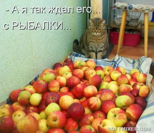 a7497333e72a29fe9fae95da5bd_prev a7497333e72a29fe9fae95da5bd_prev