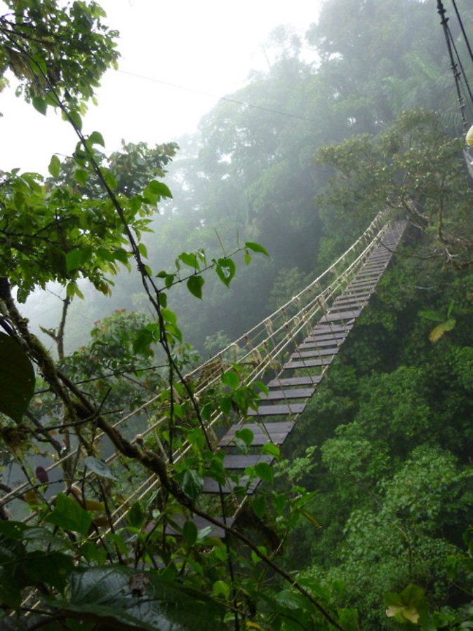 Insane Hanging Bridges 22 Подвесные мосты не для слабонервных