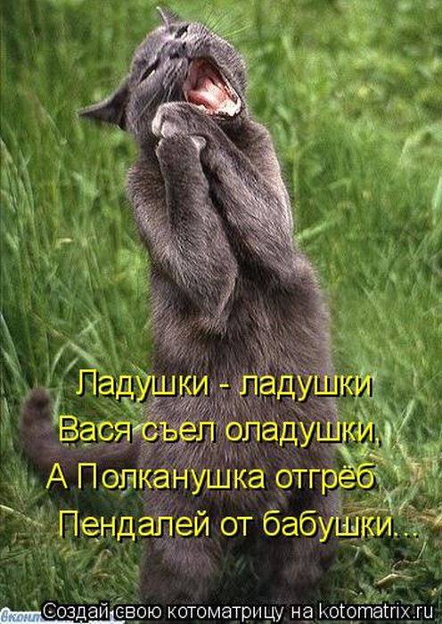 Котоматрицы великолепные, каждая с кусочком тепла, позитива и улыбкой! Котоматрицы великолепные, каждая с кусочком тепла, позитива и улыбкой!