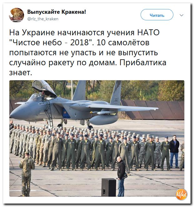 46.jpg