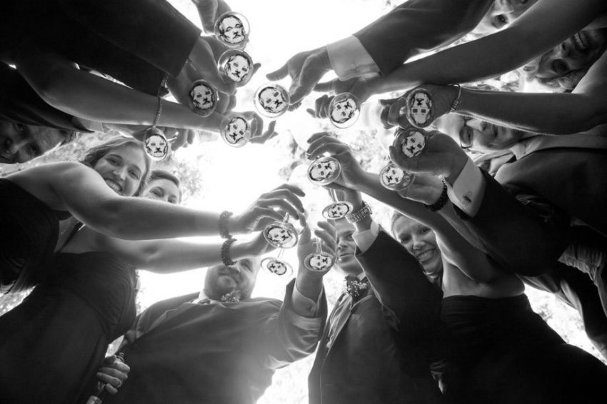 природа, позитив, фото