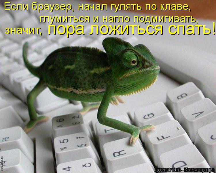  -  ,    ,      , 