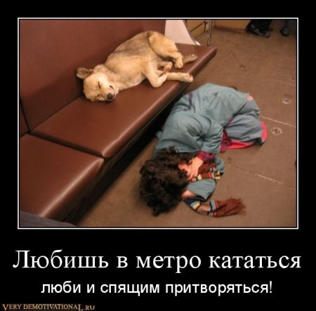 Под стольные демотиваторы!