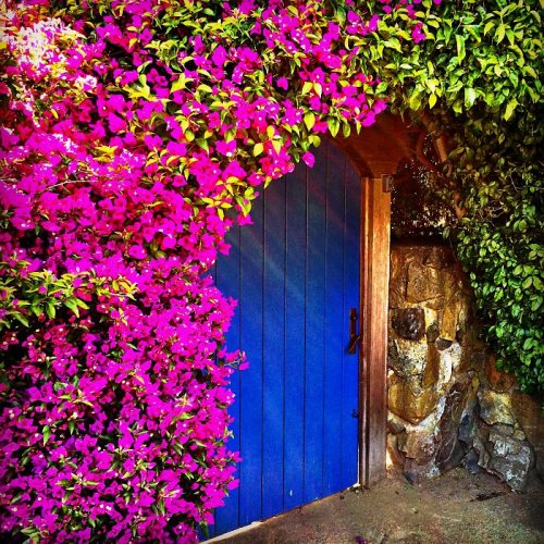 Самые необычные и красивые двери мира (25 фото)