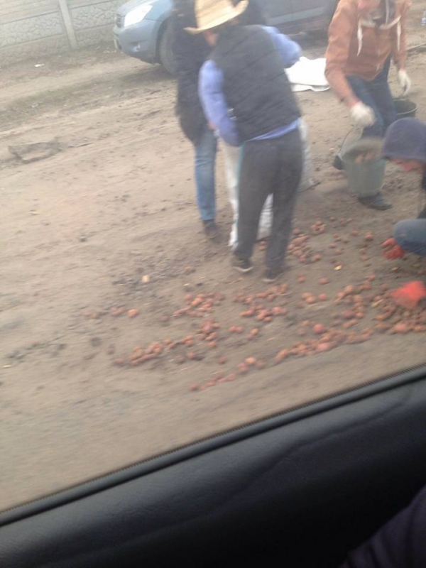 Ноу-хау: В дорожные ямы под Харьковом активисты посадили картошку | Продолжение проекта «Русская Весна»