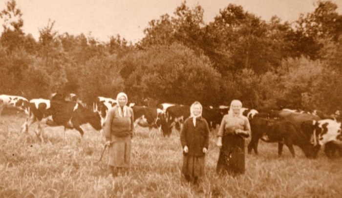 В деревне остались одни женщины. / Фото: www.чудноеподворье.рф В деревне остались одни женщины. / Фото: www.чудноеподворье.рф