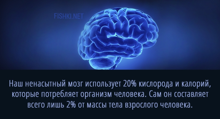20 суперспособностей, которые есть у каждого 20 суперспособностей, которые есть у каждого анатомия, факты, человек