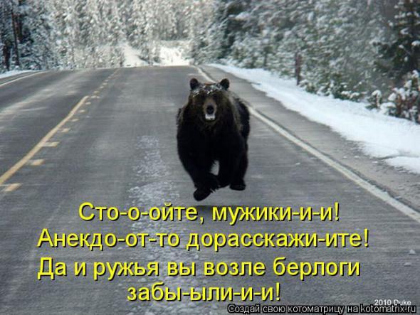 Котоматрицы (картинки с надписями)