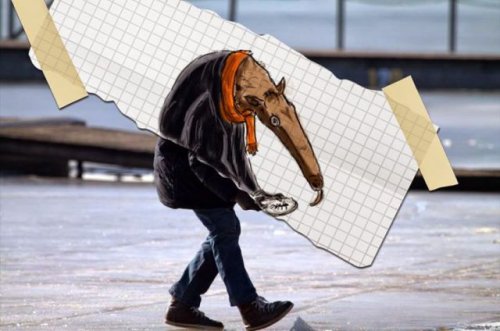 Фотографии с забавными рисунками Алекса Ночного (19 фото)