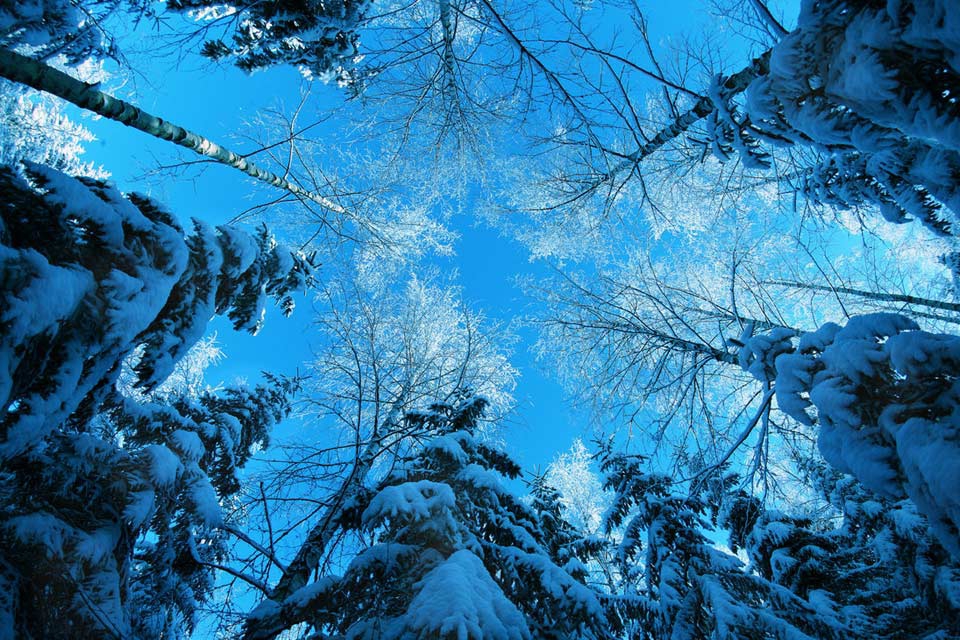 Зимние пейзажи Зимние пейзажи зимние, красивые, фото
