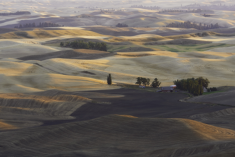 Palouse 9   