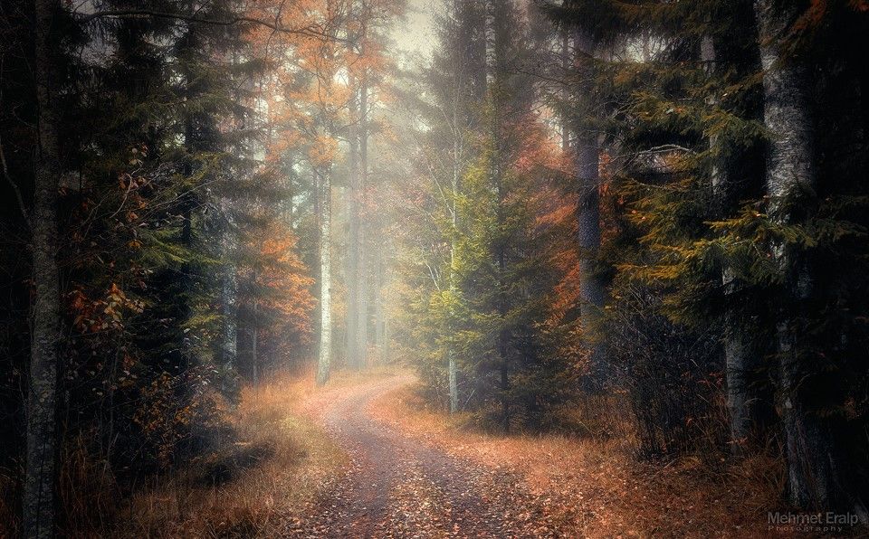 ФОТОВЫСТАВКА. Пейзажи Mehmet Eralp ФОТОВЫСТАВКА. Пейзажи Mehmet Eralp